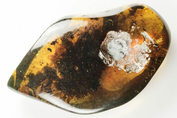 Polished Chiapas Amber ( grams) - Mexico #193290